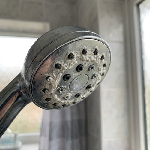 Limescale-crusted chrome shower head caused by hard water