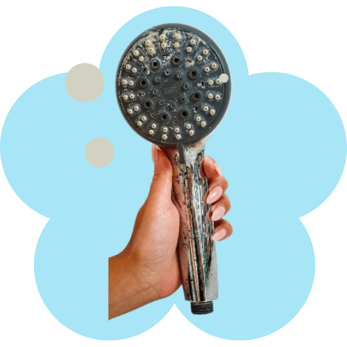 Standard shower head